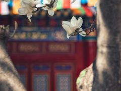 -西安市广仁寺