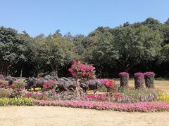 -广州雕塑公园