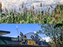 -杜氏旅游度假区