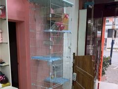 -酷狗靓猫宠物·洗护·美容·寄养(航北路店)