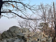 -阳台山自然风景区