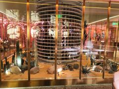 -佐度王子扒房(西城红场店)