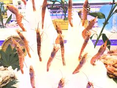 -澜悦港海鲜体验主题餐厅