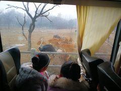 -西安秦岭野生动物园