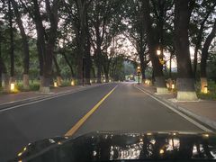 -棒棰岛宾馆景区