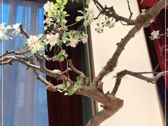 -俏江南天津时尚曲艺主题餐厅(马场道店)