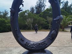 -广东惠东海龟国家级自然保护区