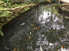 -香港大学