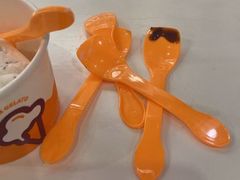 -iceason爱茜茜里·意大利健康冰淇淋(骑龙巷店)