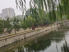 -元大都城垣遗址公园