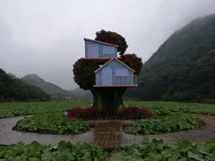 -广州市石门国家森林公园