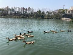-上海怡沁园度假酒店