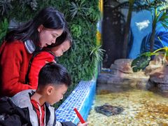 -顺德南宏海立方海洋公园