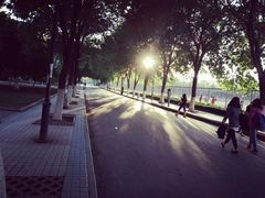 -山东农业大学(岱宗校区)