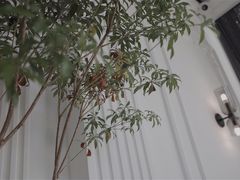 -PANYA(东湖店)