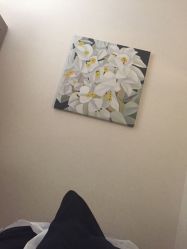 -必瘦站