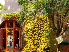 -月亮眼花园餐厅书吧酒吧