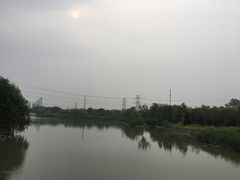 -九里河湿地公园