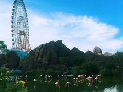 -芽庄珍珠岛游乐园