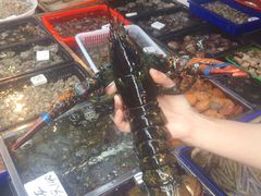 -船奇蒸汽海鲜·闽菜(八市海鲜总店)