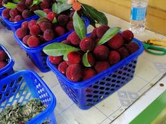 -全而廉(靖宇中路店)