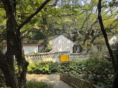-普陀山风景区-佛顶山