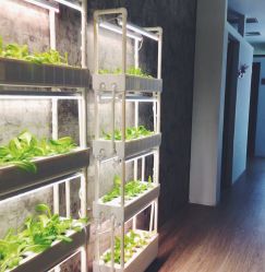 -摩睫+皮肤管理·科学美容中心