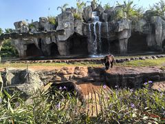 -海南热带野生动植物园