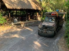 -奥兰多迪士尼动物王国乐园