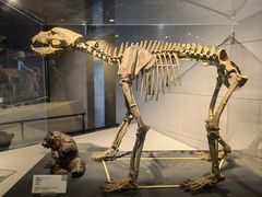 -北京周口店北京人遗址博物馆