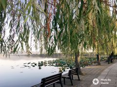 -西湖外事游船(花港观鱼码头)