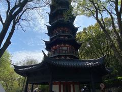 -上海佘山国家森林公园西佘山园