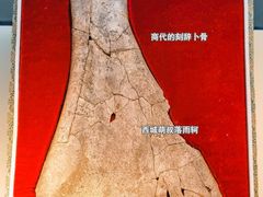 -安阳博物馆