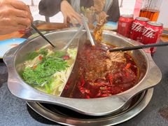 -金鼎雪山牦牛杂火锅(理县总店)