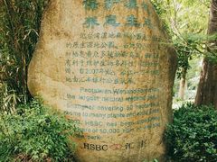 -上海吴淞炮台湾国家湿地公园