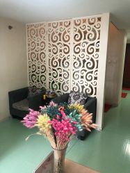 -净妍美肌专业净毛嫩肤连锁机构