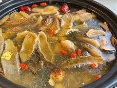 -蘑统田下·野生菌火锅