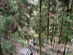 -刘伯温故里景区百丈漈