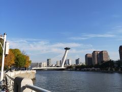 -海河游船-永乐码头(大悲院)