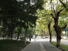 -四川大学(望江校区)