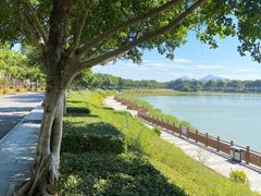 -风云岭森林公园