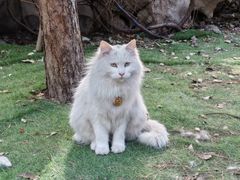 -李叔同故居纪念馆