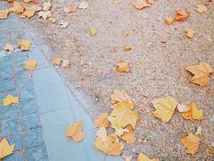 -天津东丽湖风景区