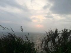 -湛江海鲜餐厅