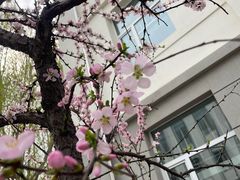 -哈尔滨商业大学(南校区)