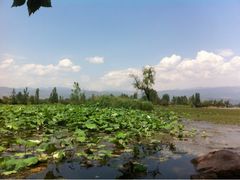 iphone_upload_pic-西昌邛海湿地