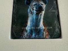 -罗红摄影艺术馆