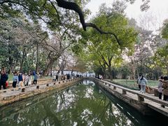 -西园戒幢律寺