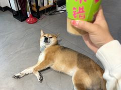 -NOTBAD 须时·咖啡馆