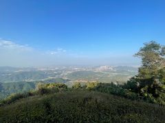 -黄埔油麻山森林公园